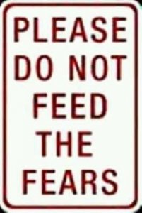 feed fears